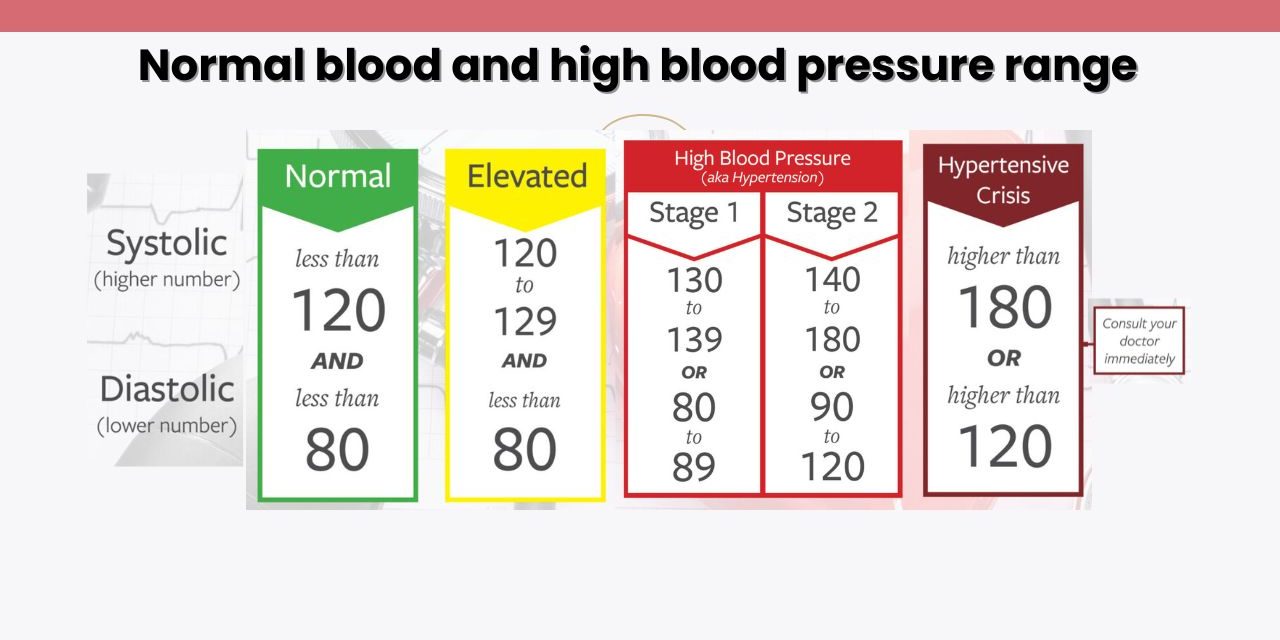 Normal Blood and High Blood Pressure Range HerbTib Blog