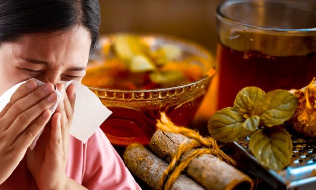 Common Cold Disease and Best Treatment