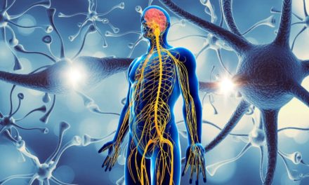 Better Understanding of Nervous System Disorders