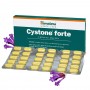 Himalaya Cystone forte