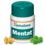 Himalaya Mentat